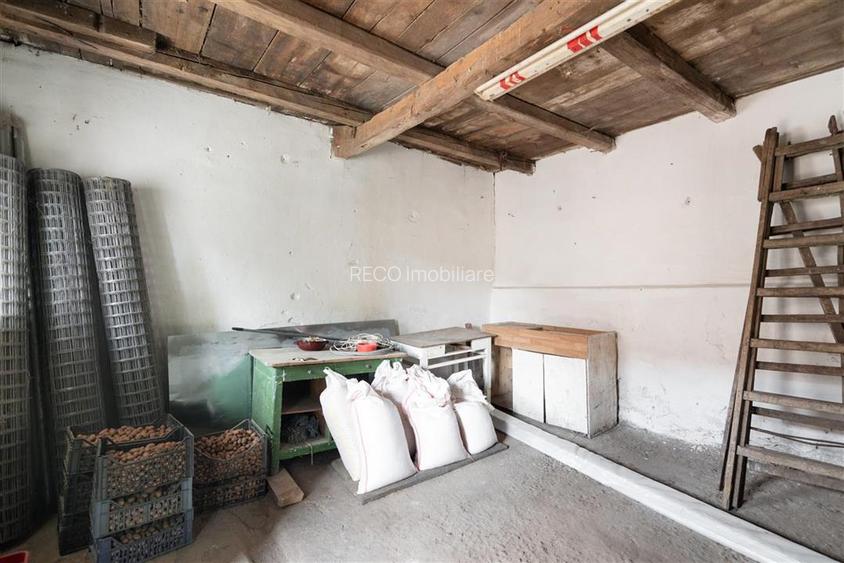 Teren mare cu 2 case si front la 2 strazi in Tamaseu - 22