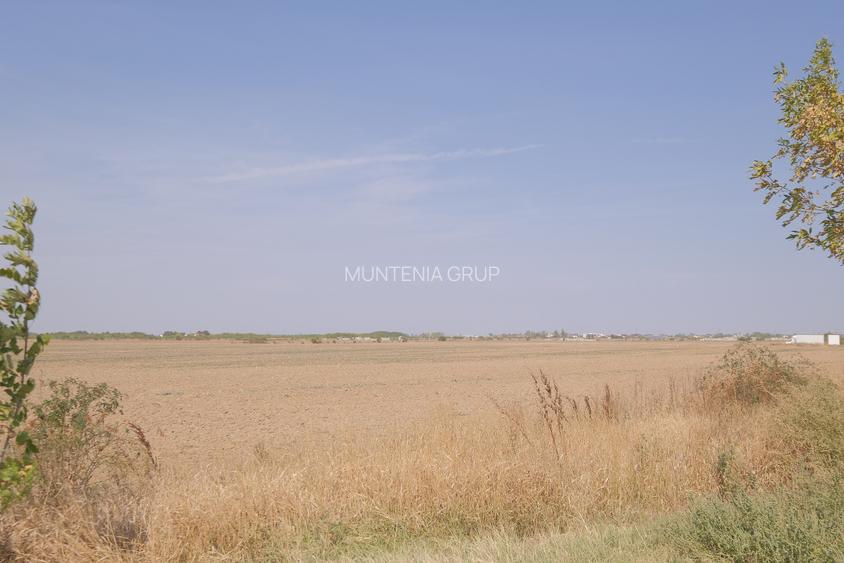 5,7 Ha. vav de Dovinot - Mihailesti, teren intravilan cu deschidere la DN6 - 12