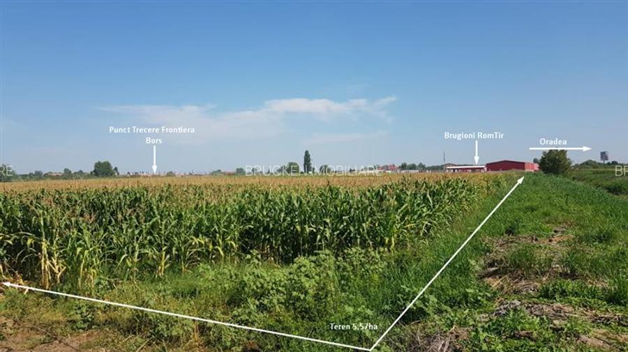 TEREN INDUSTRIAL CU PUZ | 5,2 HA | BORS - ORADEA - 3