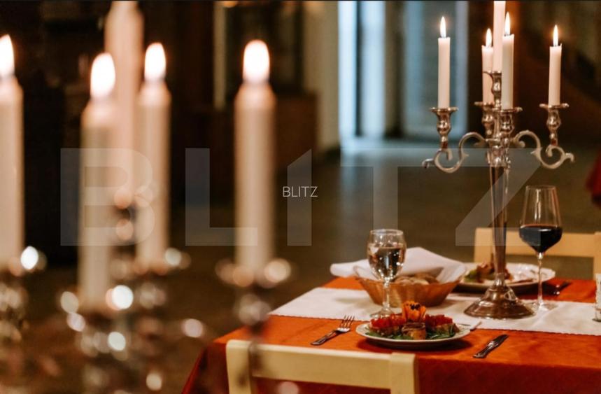 Conac de vanzare 7 camere cu bai proprii, crama, ciubar si potential  - 8