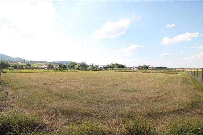 Teren 3000 mp intravilan - Sarata - 7