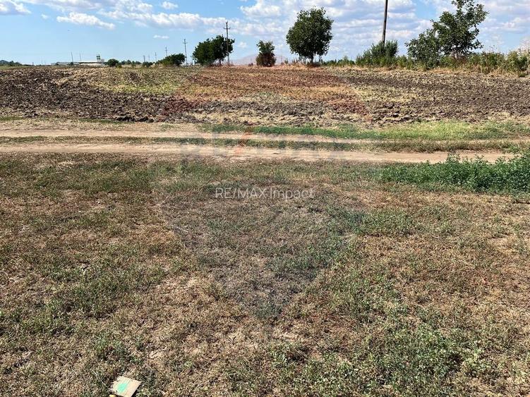 De vanzare teren, intravilan 4000 mp, deschidere 150 m, Fundulea - 4