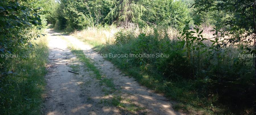 Teren intravilan in Sibiu Porumbacu de Sus - 3