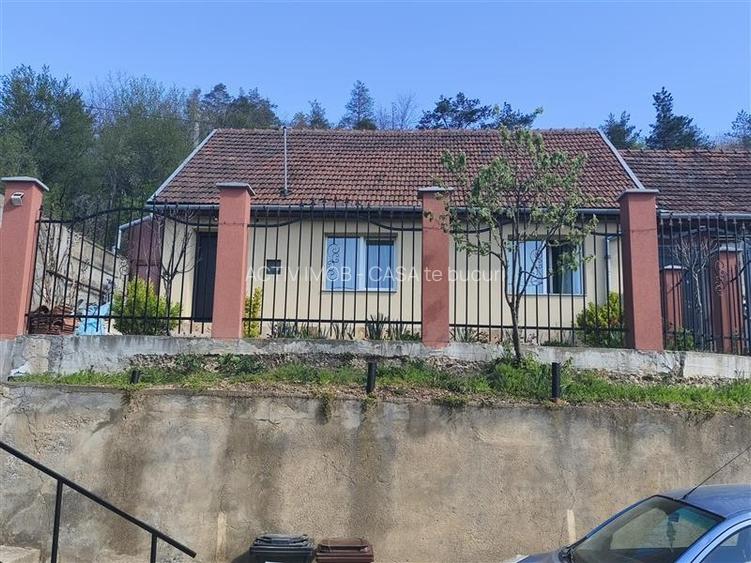 Resita Casa Cartier Muncitoresc - 7