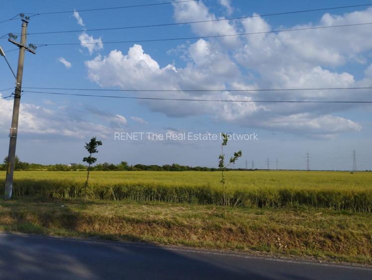 SE VINDE TEREN 5000 MP INTRAVILAN, MIXT CU DESCHIDERE LA DJ101 DE 42m - 5