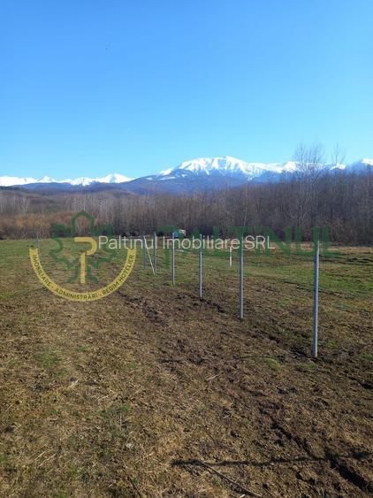 Vindem teren Sibiu, Valea Lupului, priveliste deosebita - 3