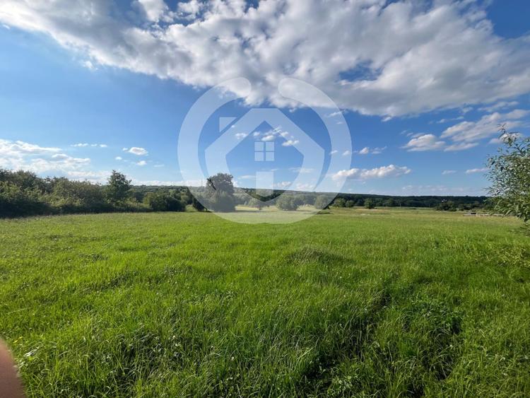 Teren intravilan constructii 6668 mp - Rasinari, Sibiu
