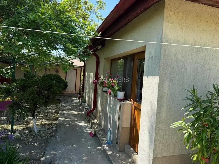 Casa cu 4000 mp teren, Letca Noua, Giurgiu — 1h de București - 9