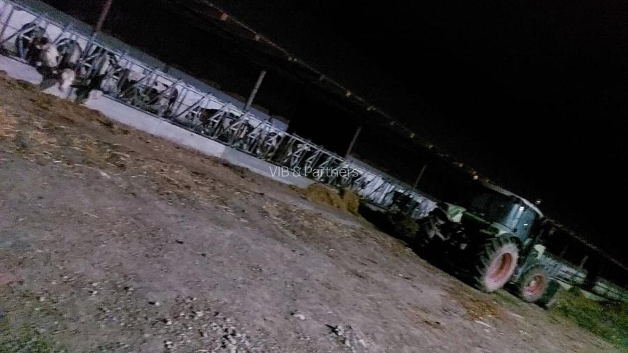 Ferma zootehnică funcțională, populată cu peste 200 capete bovine, aproape de Sâ - 9