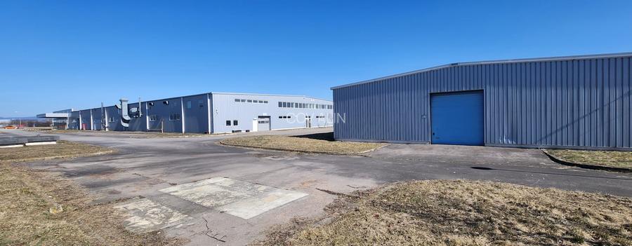 Showroom auto suprafata 6500 mp, teren 1500 mp, deschidere 90 ml la DN 1. - 36