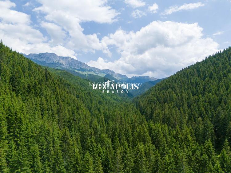 Pretabil Hotel,Pensiune,Case de Vacanta/Utilitati/PUZ - 24