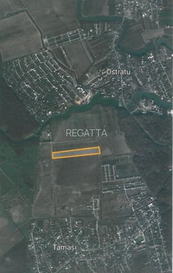 Teren Ostratu-Tamasi // OPORTUNITATE INVESTITII - 3