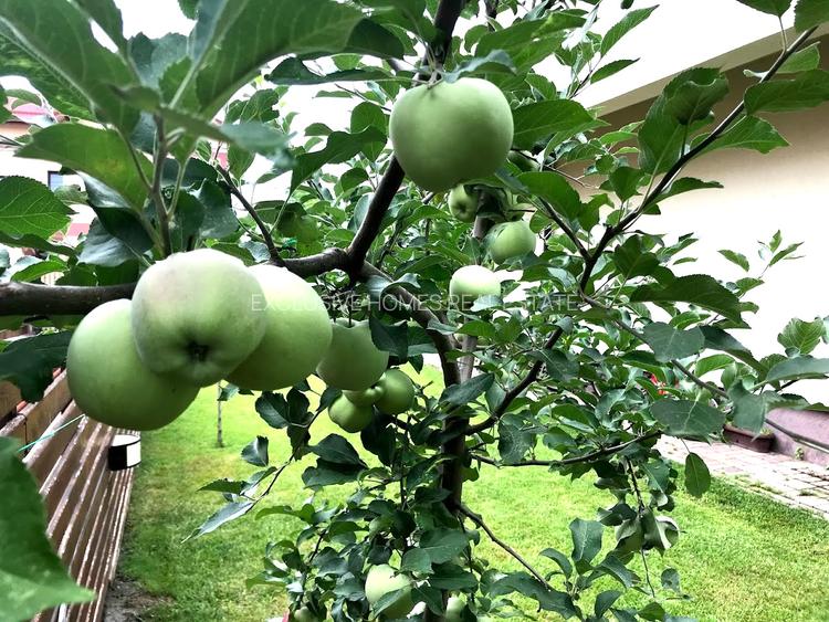 Vanzare vila Corbeanca - 22