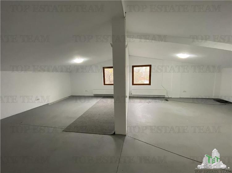 Spatiu comercial, birouri, depozitare de inchiriat in Doamna Ghica