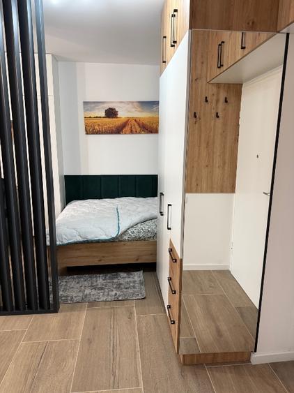 Apartament o cameră 41 mp plus terasa Ateneo Torontalului