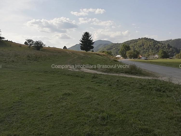 Zarnesti - Plaiul Foii, 4880 mp teren intravilan. - 4