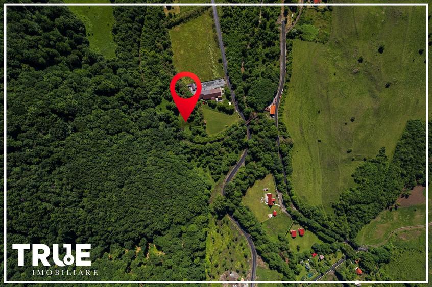 Teren intravilan 2.800 m² în Câmpu Cetății – liniște și natură