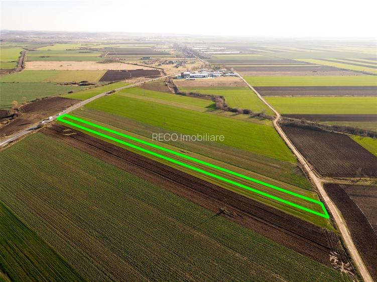 RECO teren 5000mp cu deschidere la DN19 Tamaseu - 4