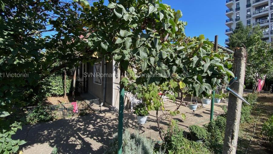 REL4001175 Floreasca - Barbu Vacarescu - teren 343 mp - 6