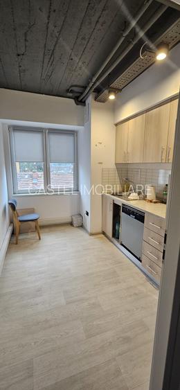 Calea Floreasca - Ceaikovski - 9