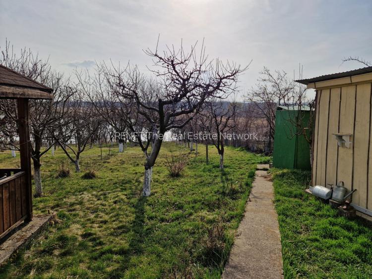 Teren - Roman  -Trifesti - ieșire la lac - livada pe rod - 12