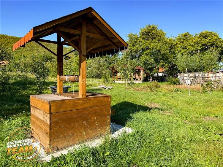 FILM! Proprietate traditionala,de poveste,cu 3.000 mp teren intravilan,Zagon,Cov - 25