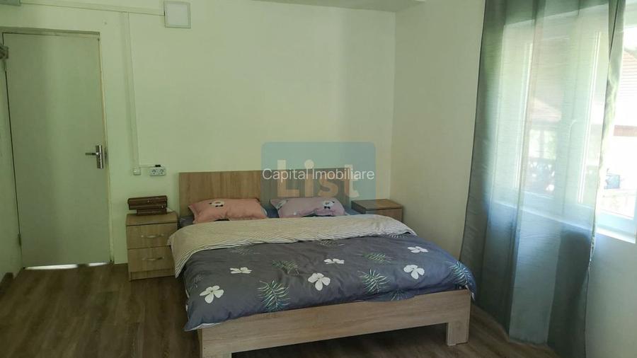 Casa de vacanta perfecta pe malul Cernei  - 12