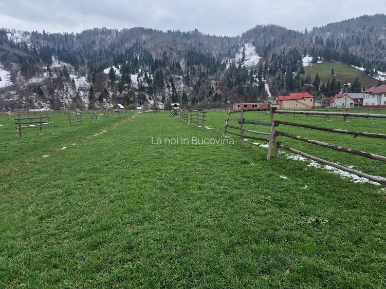 De vanzare teren intravilan 2466 mp Bucovina - Frumosu - 4