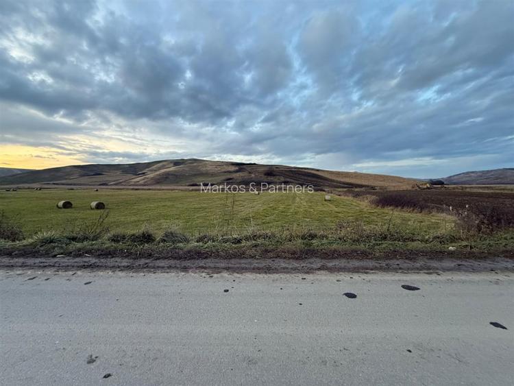 Teren Extravilan I 6000 Mp I Acces la drum | Cojocna - 6