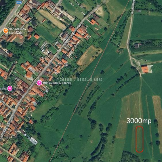 Teren extravilan cu priveliste minunata 3000mp in Rasinari - 3