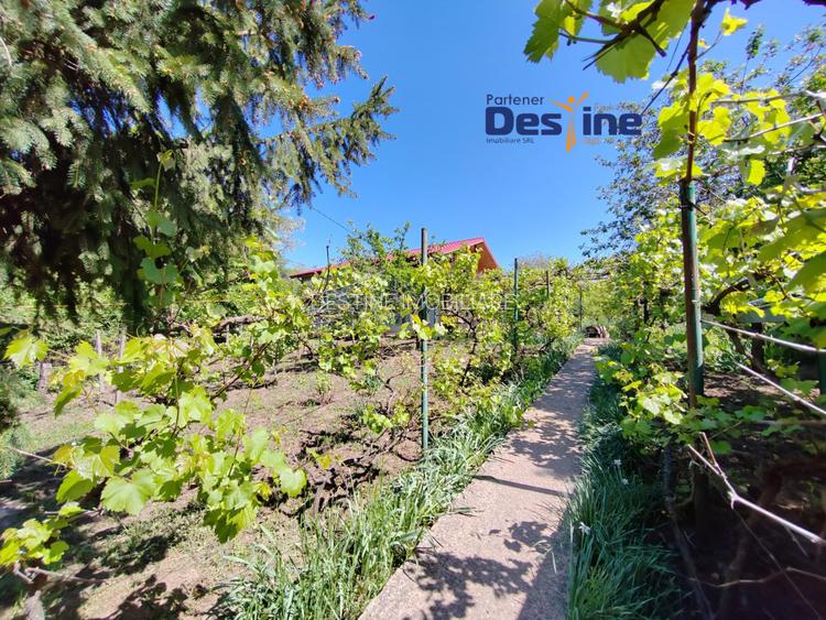 Casa individuala P+M, 164 mp utili + 1062 mp teren, COPOU - 3