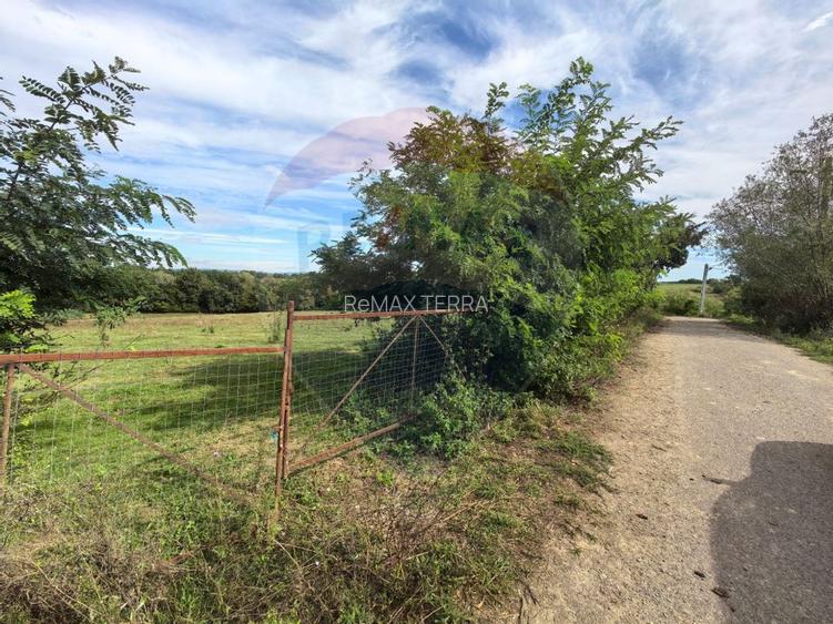 Teren 5,600mp Finteusu Mic / Strada Principala - 7