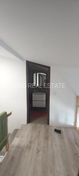 Apartament 2 camere Calea Calarasilor cu gradina - 22