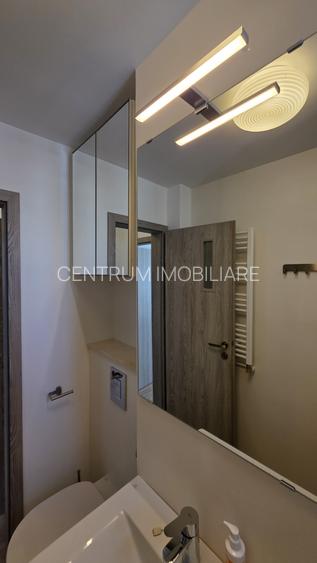 Inchiriere apartament Baba Novac - 18