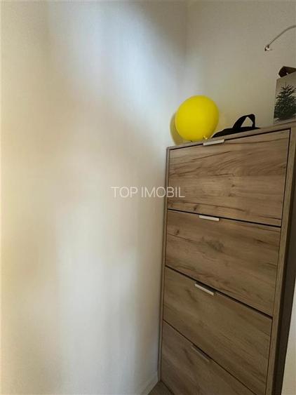 Inchiriere Apartament cu 2 camere Podu Ros - 9