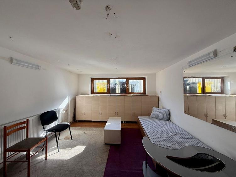 Casă individuală de vânzare în Timișoara, zona Telegrafului - 11