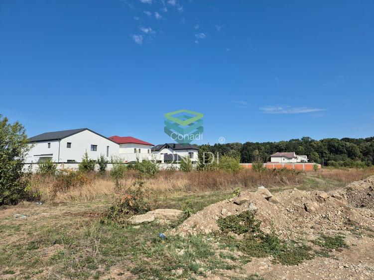 Teren de vanzare - Voluntari - zona Matei Millo - 4
