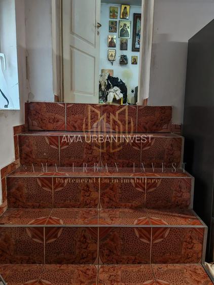 Casa singur curte Dimitrie Cantemir - 9