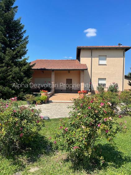 Proprietate deosebită, șos. Cernica (în apropierea mănăstirii Cernica) - 2