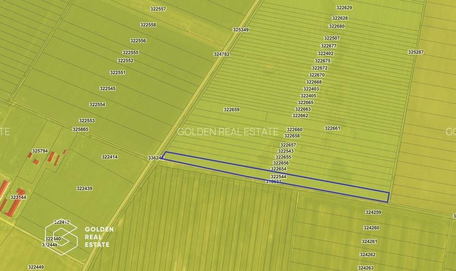 Teren agricol, 14 630 mp, Vladimirescu, ZERO COMISION - 2
