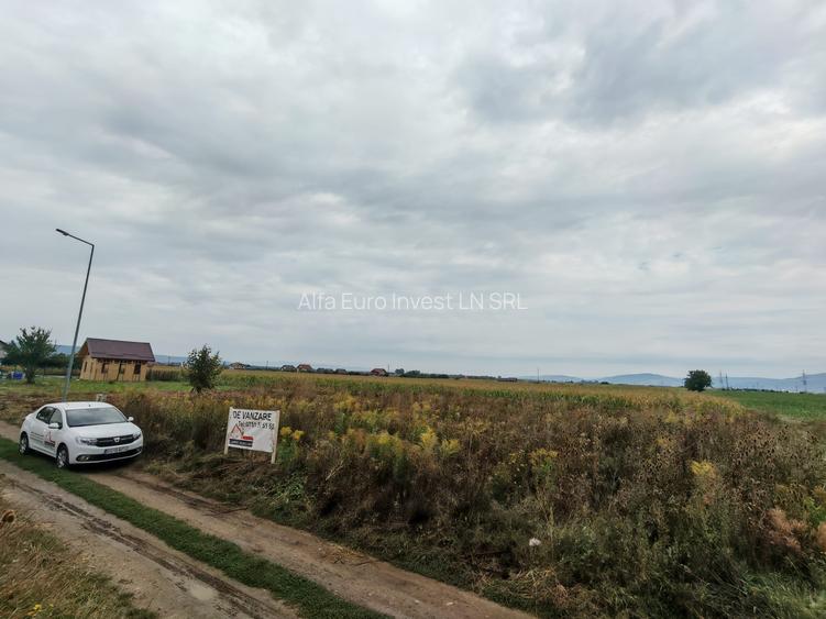 Teren de Casa - Harman - Brasov - 6