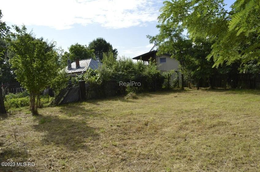 Suseni - Teren intravilan cu casa batraneasca, plan, suprafata 4700 mp! - 5