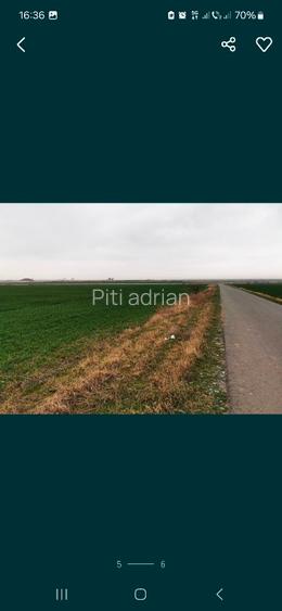 Vand teren intravilan 4,5 hectare vis a vis de Aeroportul Mihail Kogalniceanu - 3