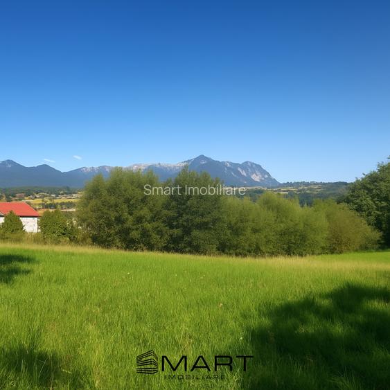 Teren intravilan 4200 mp Tohanu Nou - 2