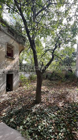 VILA INDIVIDUALA CISMIGIU | INTR. TEMISANA - 7