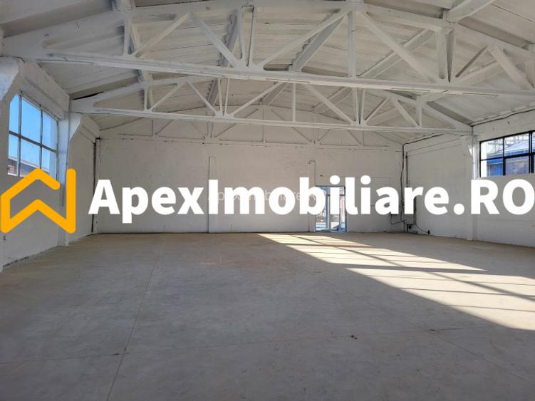 Hala Industriala Xenia – 1800 mp, Acces TIR, Parcare 50 Auto - 25