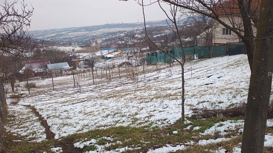 Teren intravilan 704 mp, acces asfaltat, priveliste Padurea Breazu - 7