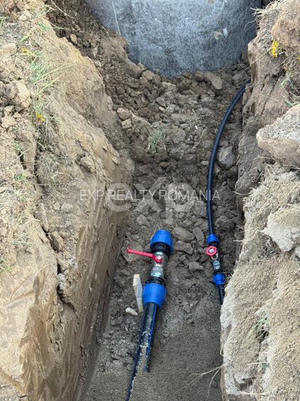 Teren 1650 mp intravilan Trivale - Olteni – cadru natural langa Padure - 5