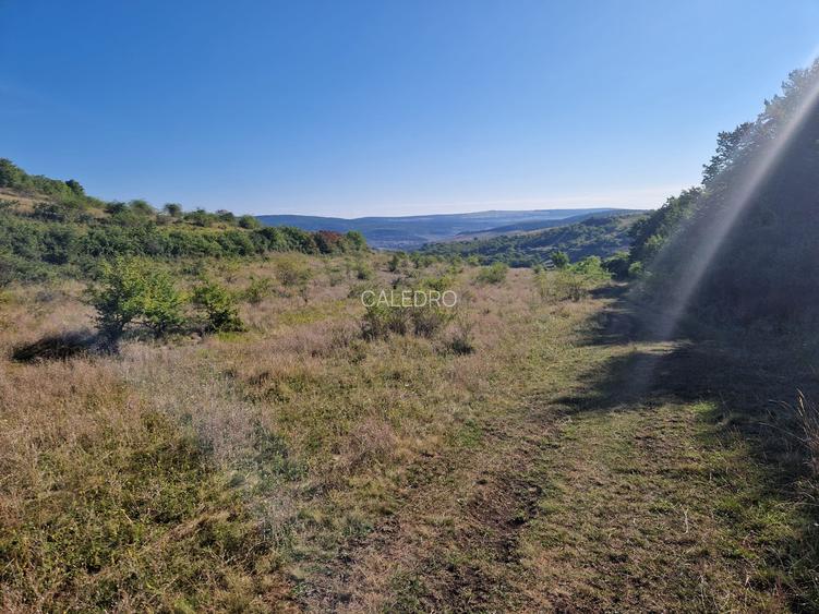 Teren 5800 mp extravilan in Suceagu ideal investitie - 2