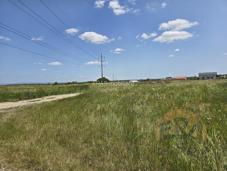 Teren intravilan | Dublu Front | 750mp | Cheriu - 3